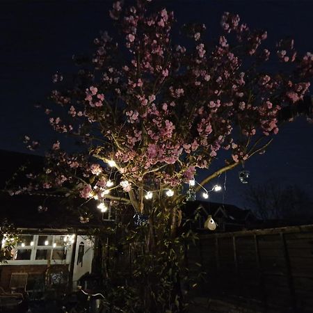 Lotus Pod House Homestay Horsell Eksteriør billede