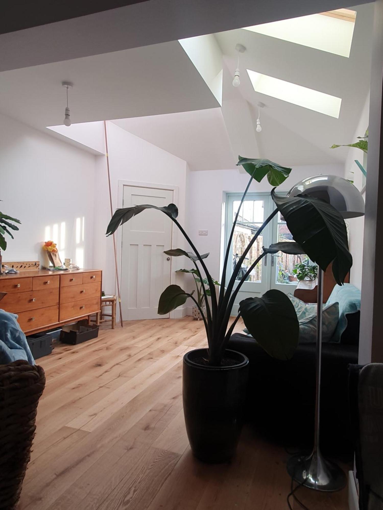 Lotus Pod House Homestay Horsell Eksteriør billede
