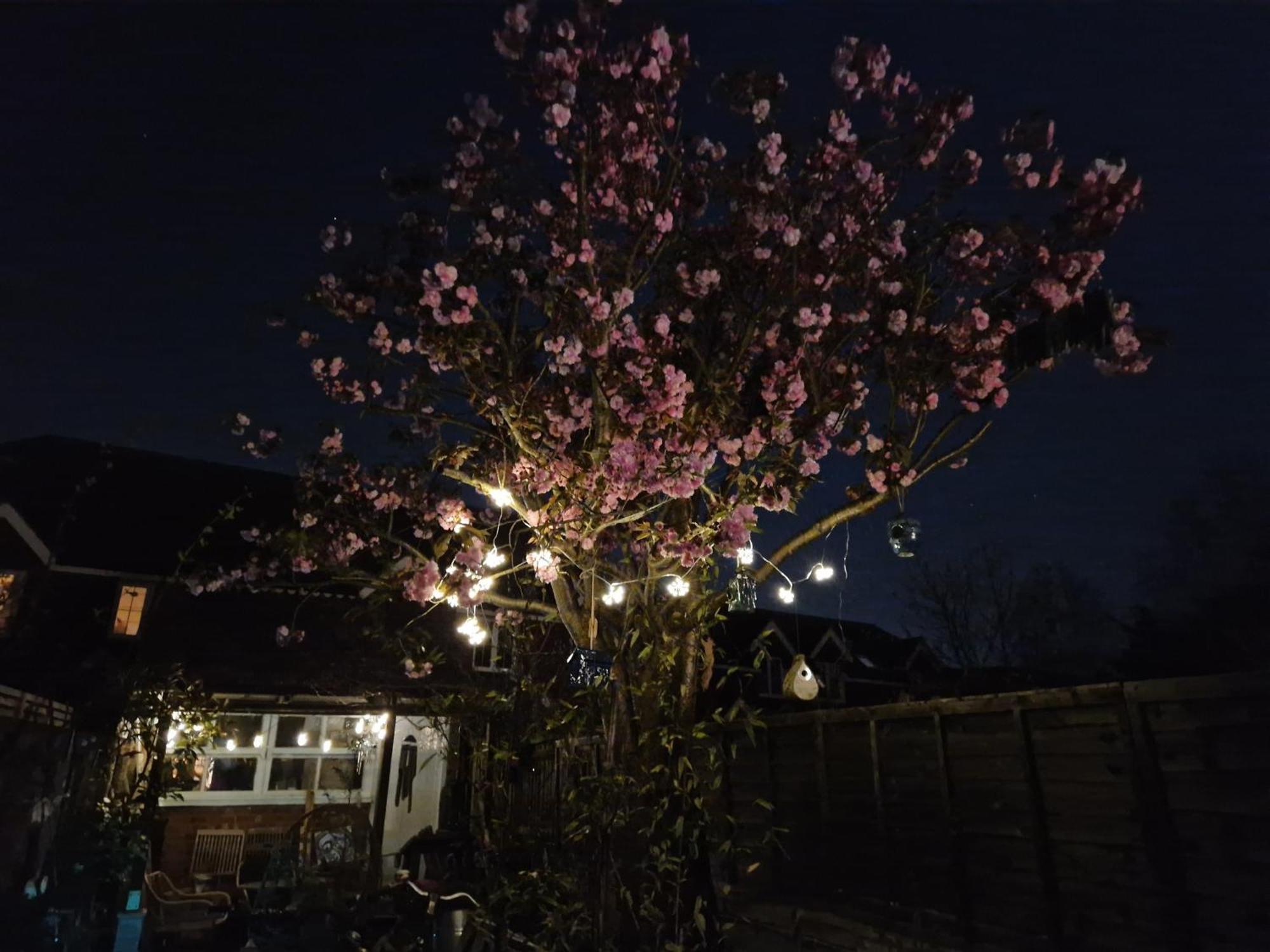 Lotus Pod House Homestay Horsell Eksteriør billede
